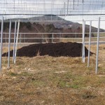 岡山吉備中央町ぶどうピオーネ