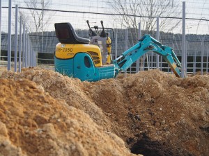 岡山吉備中央町ぶどうピオーネ