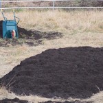 岡山吉備中央町ぶどうピオーネ