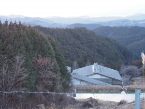 岡山吉備中央町ぶどうピオーネ