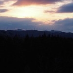 岡山吉備中央町ぶどうピオーネ