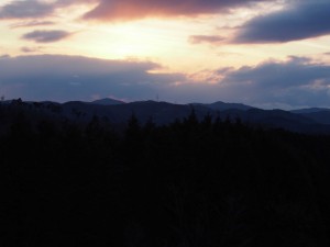 岡山吉備中央町ぶどうピオーネ