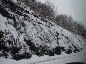 天空のピオーネ農園アグリスジャパン