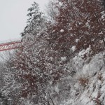 天空のピオーネ農園アグリスジャパン