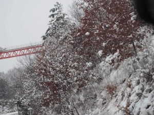 天空のピオーネ農園アグリスジャパン