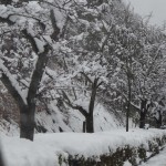 天空のピオーネ農園　今年1番の大雪
