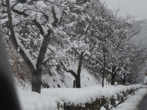 天空のピオーネ農園　今年1番の大雪