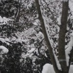 天空のピオーネ農園アグリスジャパン