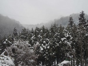 天空のピオーネ農園アグリスジャパン