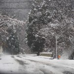 天空のピオーネ農園　今年1番の大雪