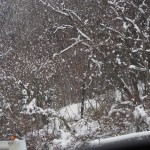 天空のピオーネ農園アグリスジャパン