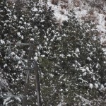 天空のピオーネ農園アグリスジャパン