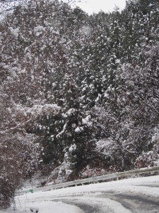 天空のピオーネ農園アグリスジャパン