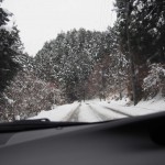 天空のピオーネ農園アグリスジャパン