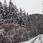 天空のピオーネ農園アグリスジャパン