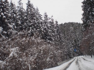 天空のピオーネ農園アグリスジャパン