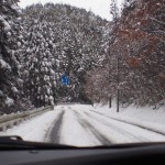 天空のピオーネ農園アグリスジャパン
