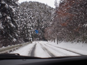 天空のピオーネ農園アグリスジャパン