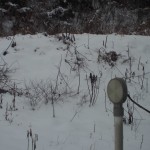 天空のピオーネ農園アグリスジャパン