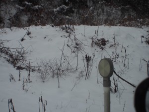 天空のピオーネ農園アグリスジャパン