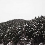 天空のピオーネ農園アグリスジャパン