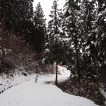 天空のピオーネ農園　今年1番の大雪