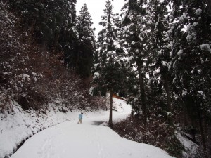 天空のピオーネ農園アグリスジャパン