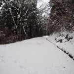 天空のピオーネ農園アグリスジャパン