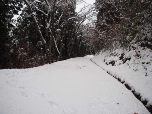 天空のピオーネ農園アグリスジャパン