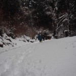 天空のピオーネ農園アグリスジャパン