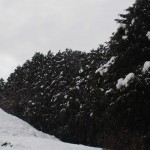 天空のピオーネ農園アグリスジャパン