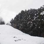 天空のピオーネ農園アグリスジャパン