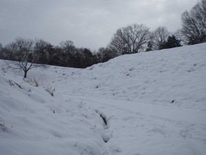 天空のピオーネ農園　今年1番の大雪