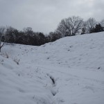 天空のピオーネ農園アグリスジャパン