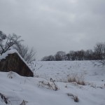 天空のピオーネ農園アグリスジャパン