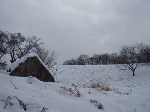 天空のピオーネ農園アグリスジャパン