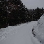 天空のピオーネ農園　今年1番の大雪
