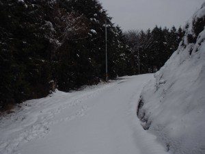 天空のピオーネ農園　今年1番の大雪
