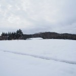 天空のピオーネ農園　今年1番の大雪