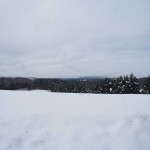 天空のピオーネ農園アグリスジャパン