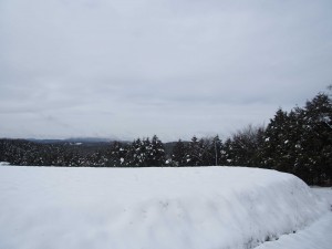 天空のピオーネ農園アグリスジャパン