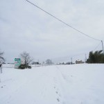 天空のピオーネ農園アグリスジャパン