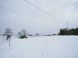 天空のピオーネ農園アグリスジャパン