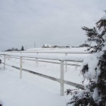 天空のピオーネ農園アグリスジャパン