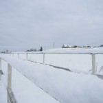 天空のピオーネ農園アグリスジャパンｐ