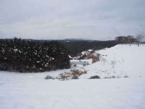天空のピオーネ農園アグリスジャパン