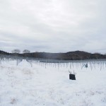 天空のピオーネ農園アグリスジャパン