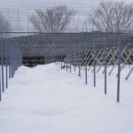 天空のピオーネ農園アグリスジャパン