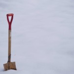 天空のピオーネ農園アグリスジャパン