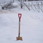 天空のピオーネ農園アグリスジャパン